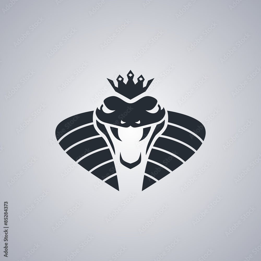 Naklejka premium snake