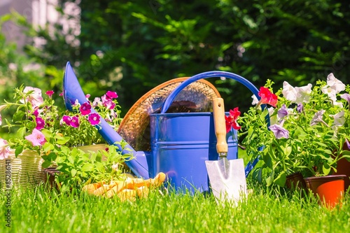 Gardening, garden, summer. © BillionPhotos.com