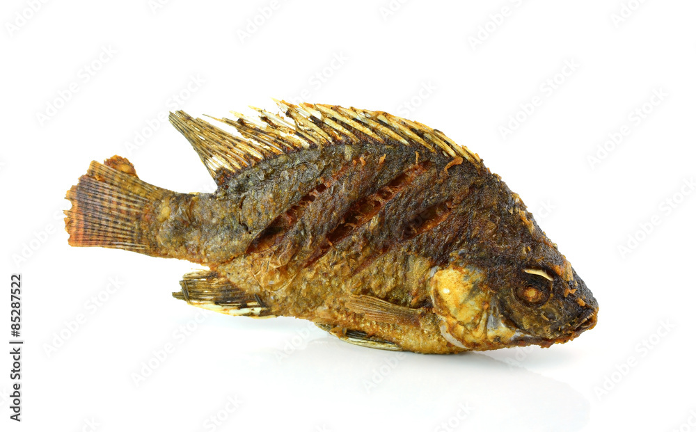 Fried Tilapia fish fried isolated on white background Fried Tilapia fish fried isolated on white background