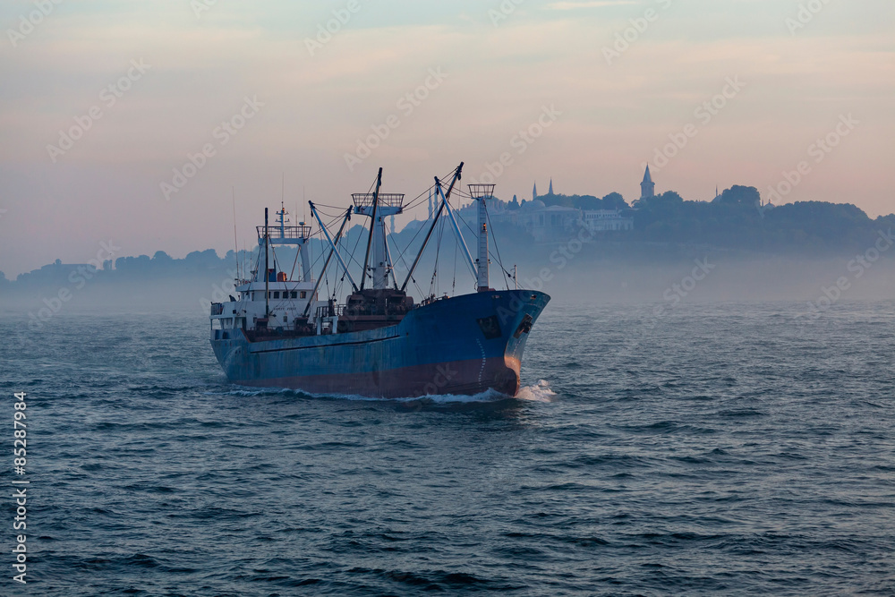 Cargo ship in Istanbul