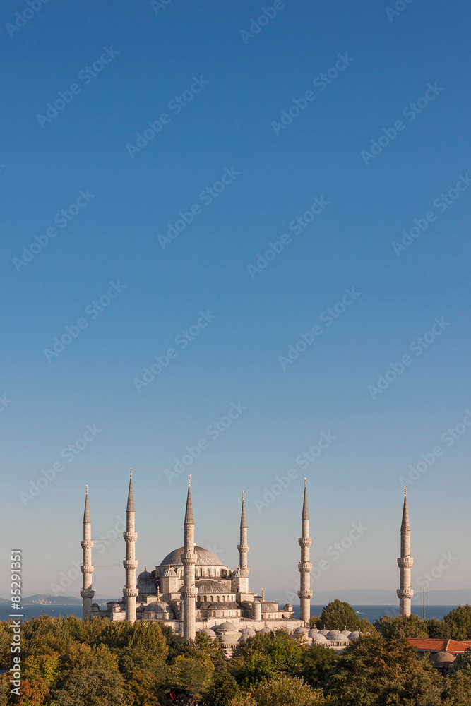 Naklejka premium Blue mosque Istanbul Turkey