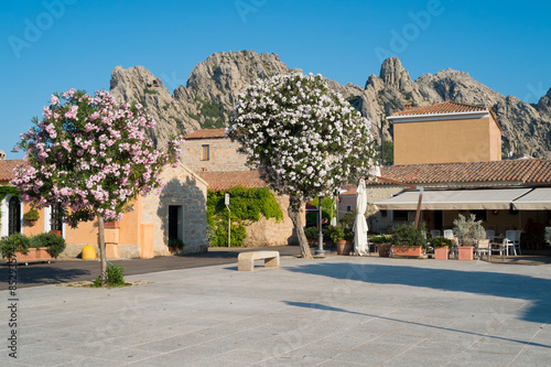 San Pantaleo photo