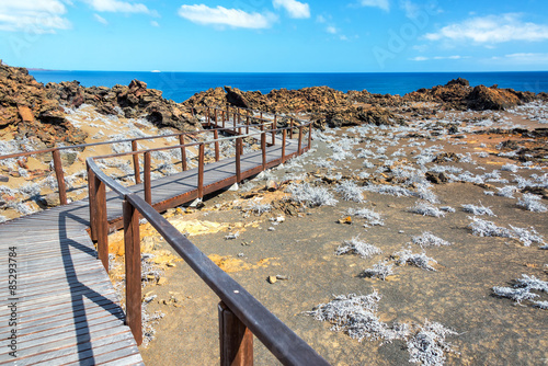 Galapagos Islands Boardwalk