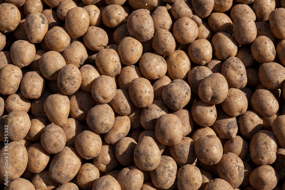 Fresh raw potatoes kept for retail purpose at bazaar Fresh raw potatoes kept for retail purpose at bazaar
