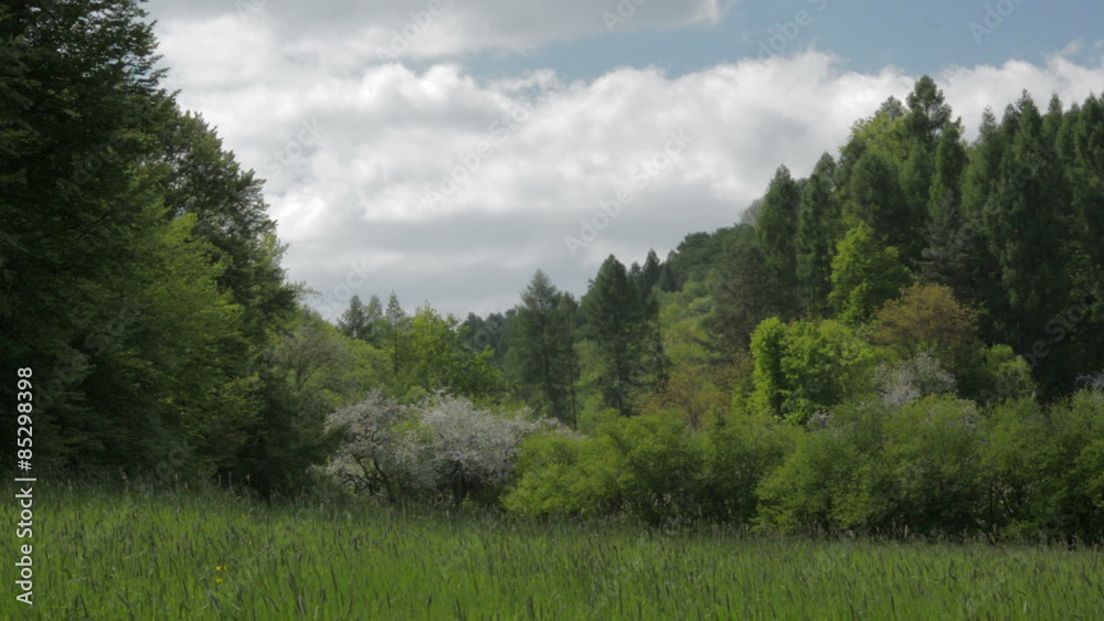 Close up of flowing stream water. Nature scene, day, spring, Europe. Camera locked down. 1080p full HD video footage. Close up of flowing stream water. Nature scene, day, spring, Europe. Camera locked down. 1080p full HD video footage.