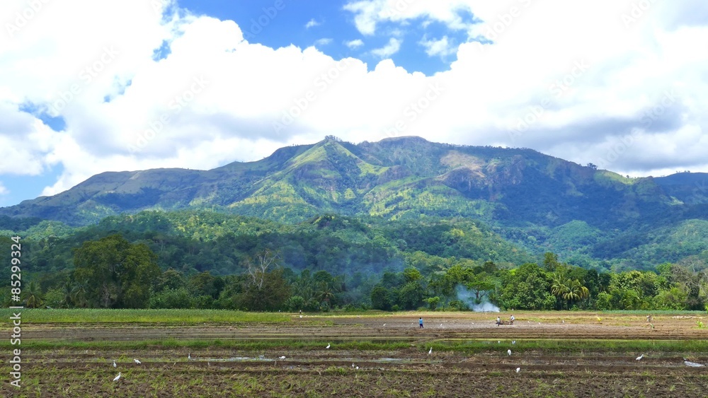 Mountain landscape with rice plantation in Sri Lanka - 4k
Mountain landscape with rice plantation in Sri Lanka - 4k