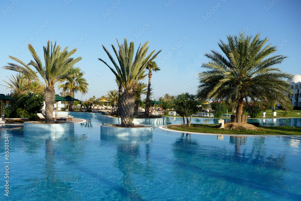 Fototapeta premium Pool-Landschaft mit Palmen