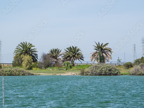 Palo Alto Baylands Nature Preserve