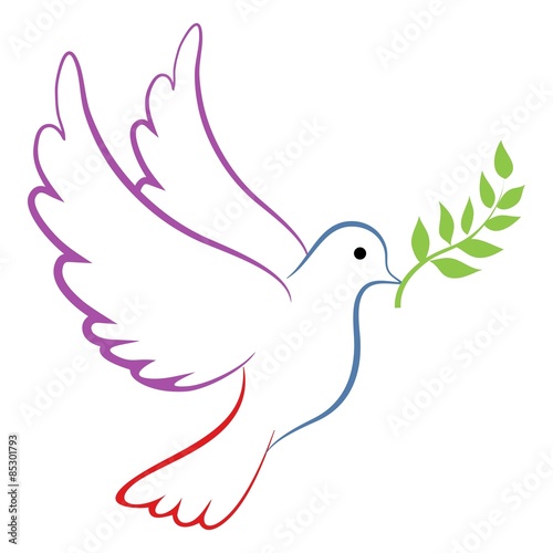 Peace Dove Color photo