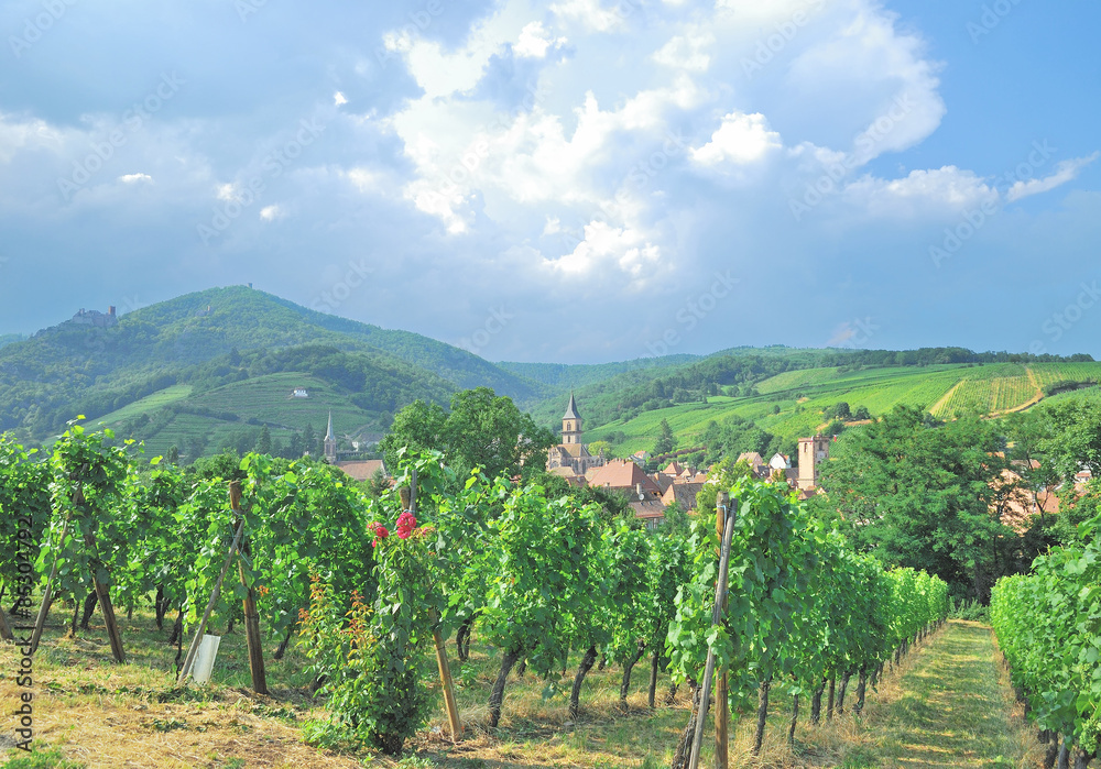 der bekannte Weinort Ribeauville im Elsass,Frankreich