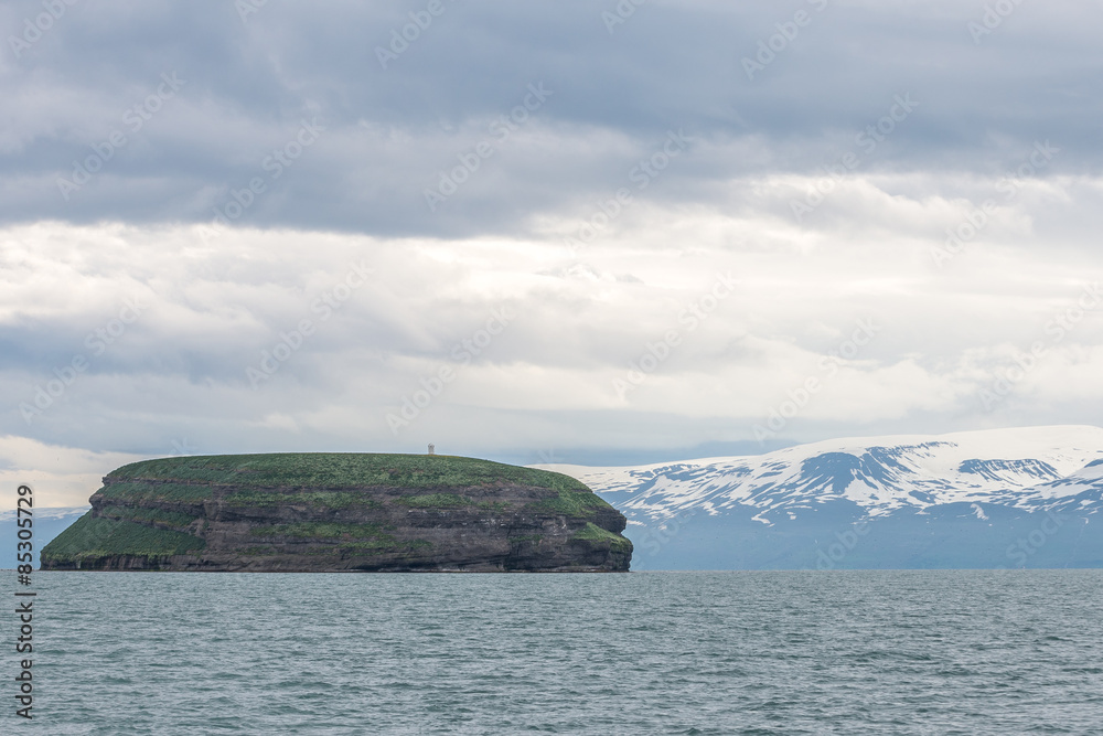 Obraz premium Lundey Island populated by puffins, Husavik, Iceland.
