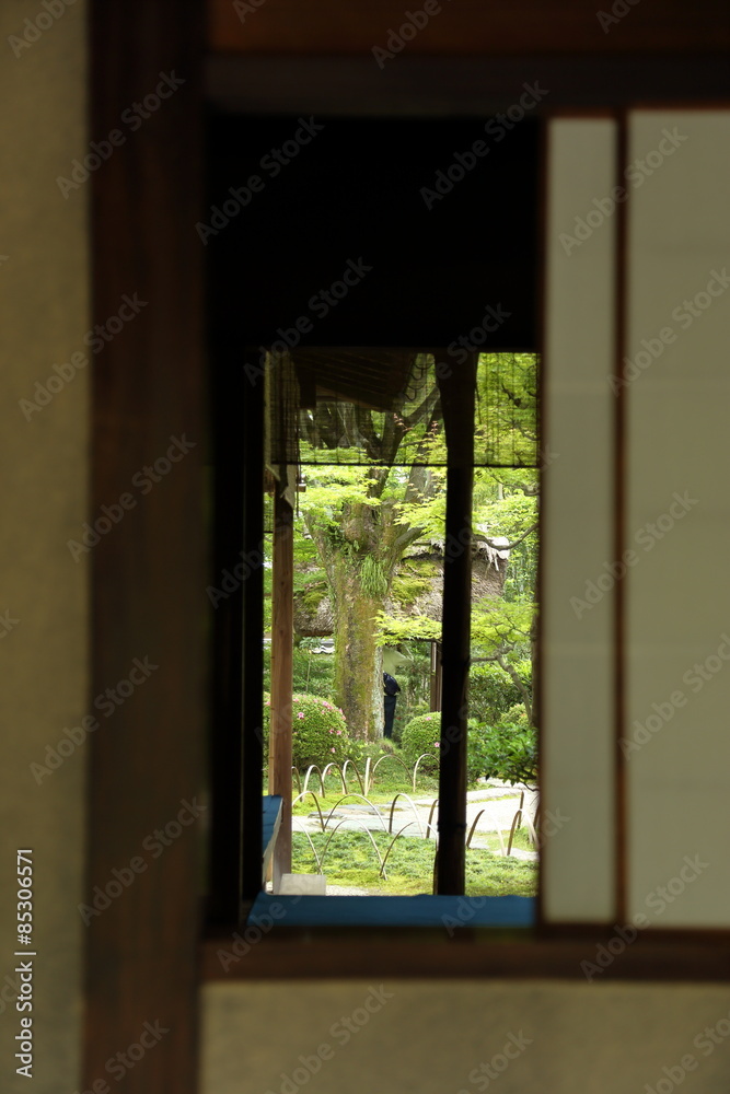 Fototapeta premium 犬山市有楽苑