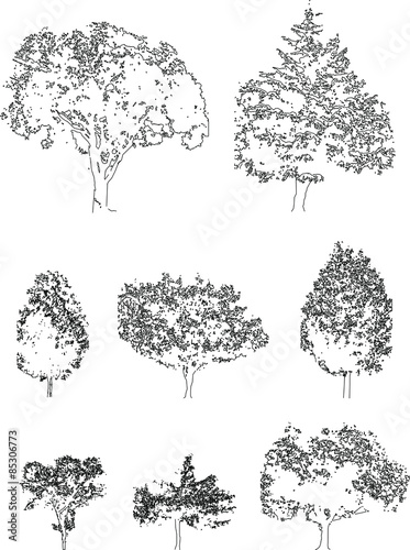 Trees silhouette vector