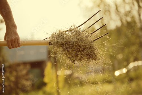 Photos Piece of hay