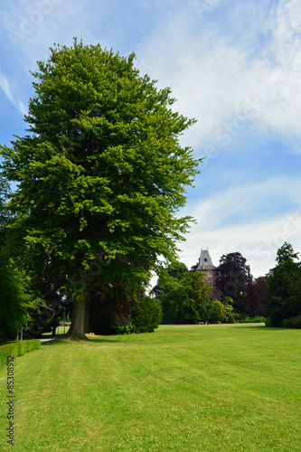 Parc dans le Hainaut