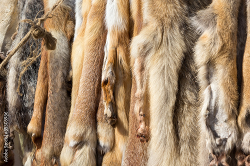 Billede på lærred pelts of fur animals hang on rope