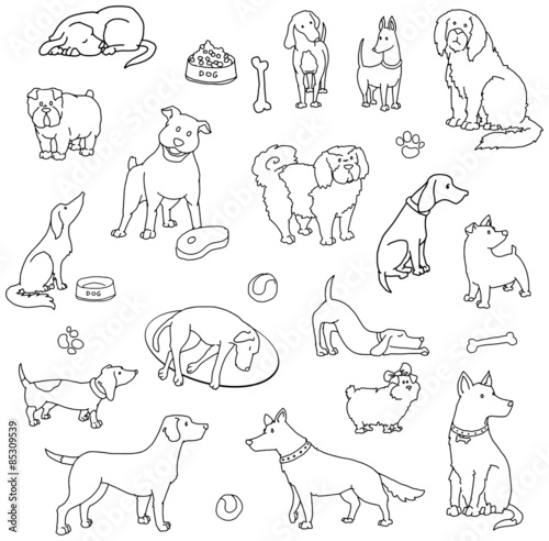 Fototapeta Naklejka Na Ścianę i Meble -  Hand drawn set of various dogs,