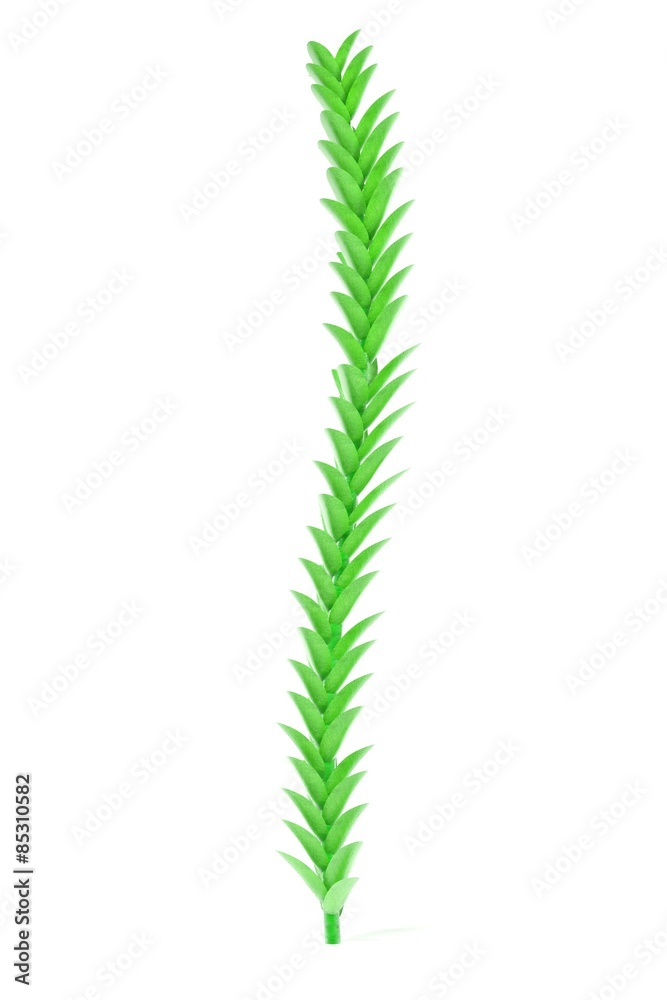 3d render of aquatic plant 3d render of aquatic plant