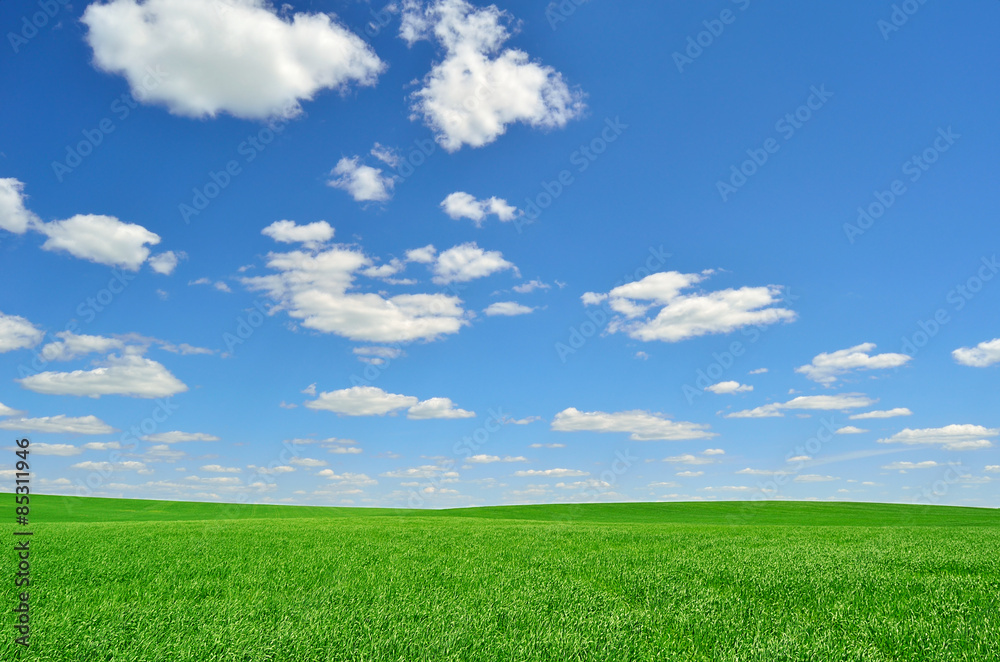 bright green field under a sky with clouds bright green field under a sky with clouds