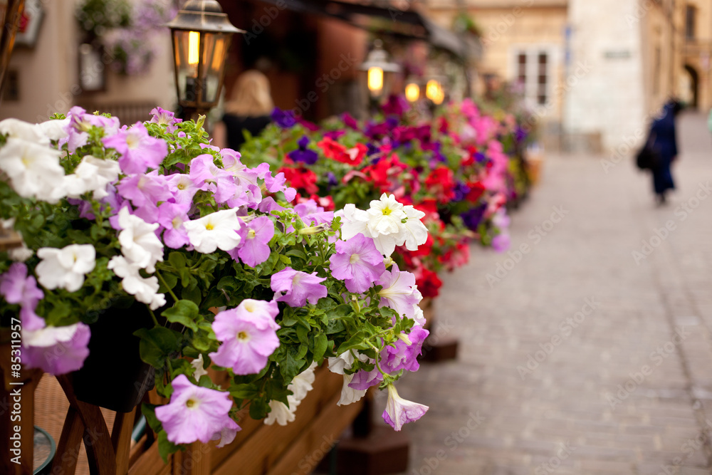 Obraz premium Flowers outdoor