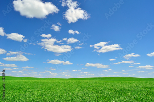 bright green field under a sky with clouds