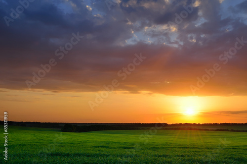 Sunset sky on a summer green field