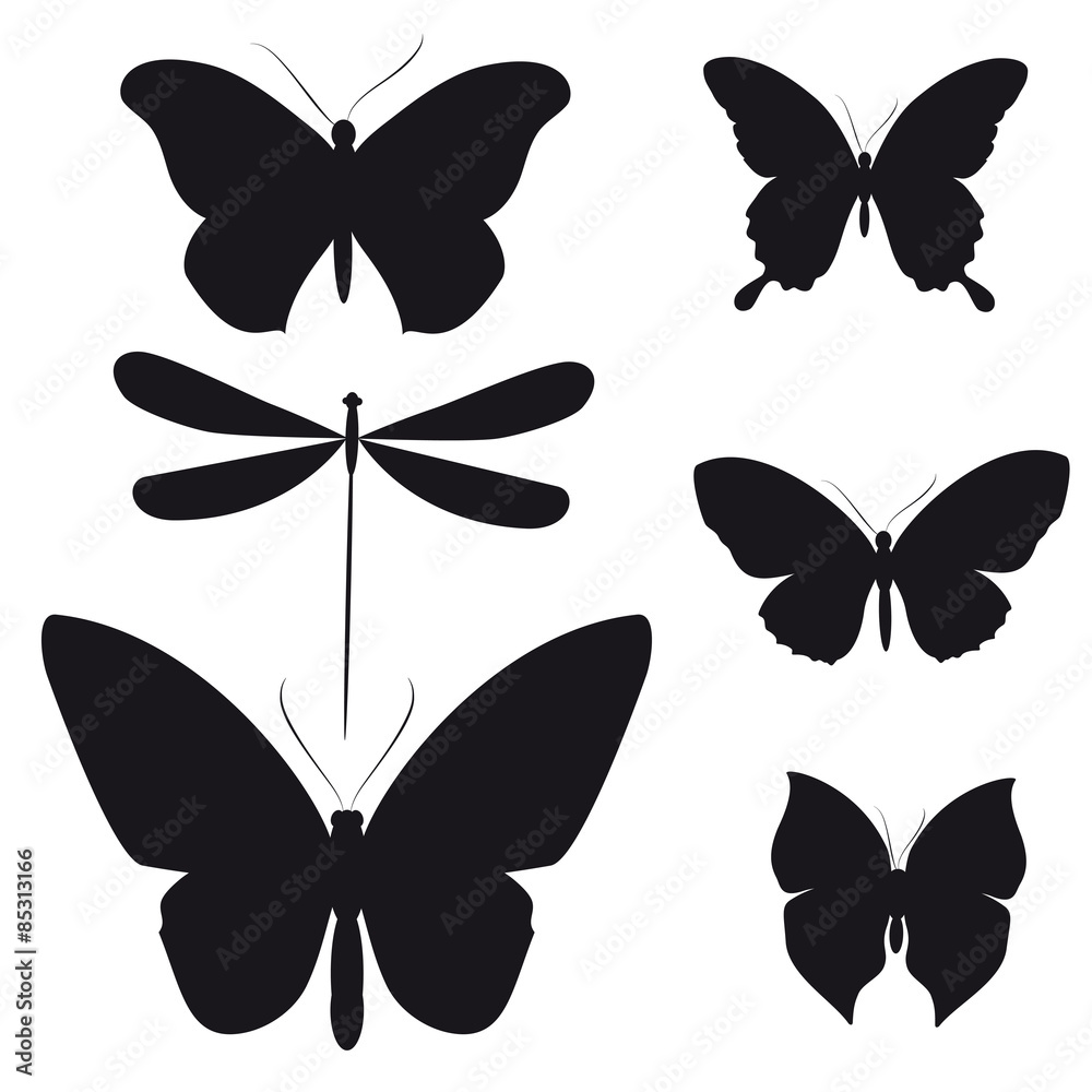 butterflies design butterflies design
