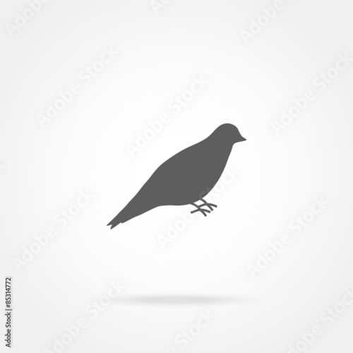 bird icon