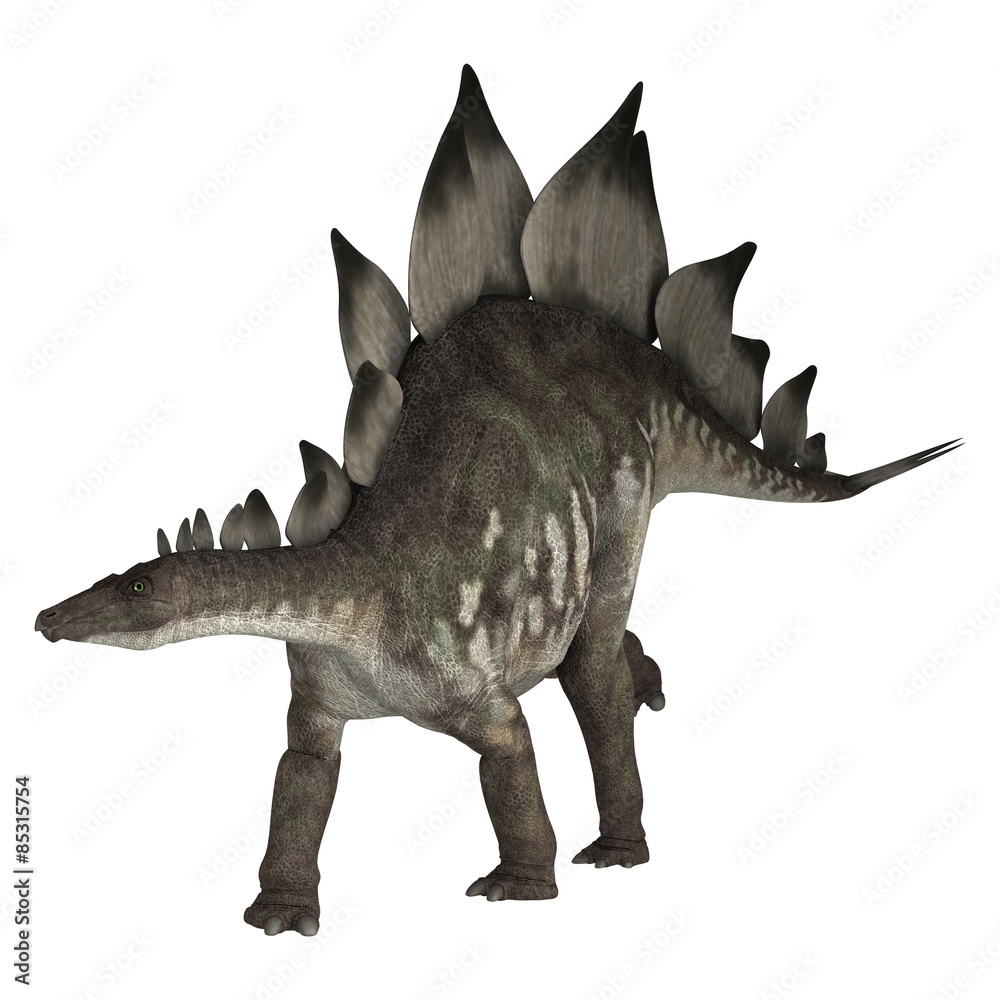 Fototapeta premium Dinosaur Stegosaurus