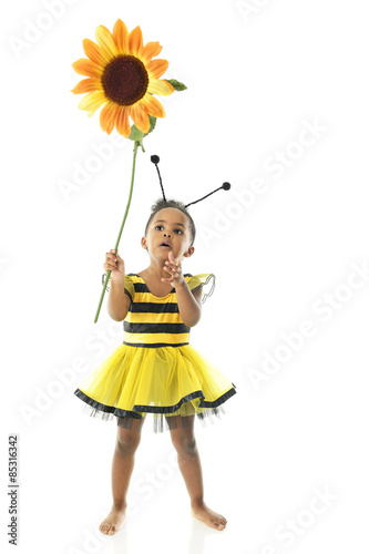 Flower Holding Bumble Bee © Glenda Powers