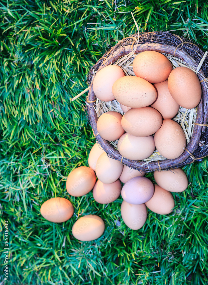 Easter eggs in nest on green grass background. Easter eggs in nest on green grass background.