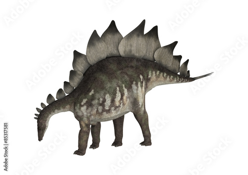 Dinosaur Stegosaurus © photosvac