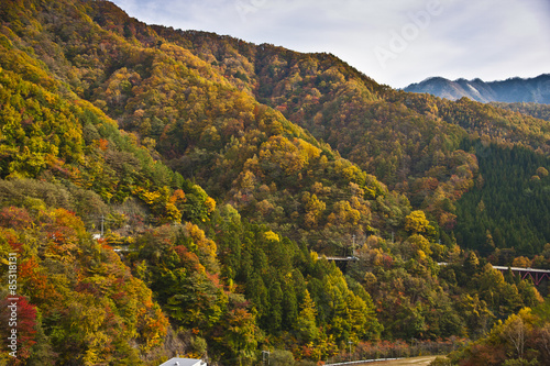 西沢渓谷, 山梨