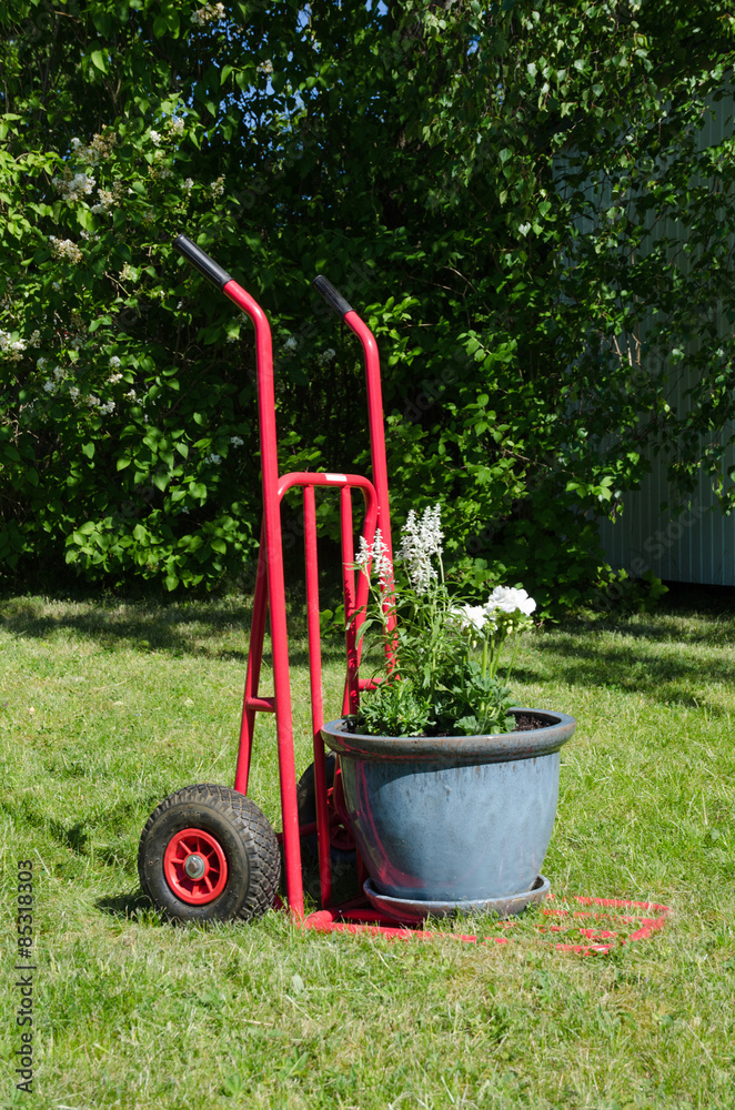 Fototapeta premium Cart with a big flowerpot