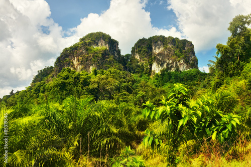 Thai Mountains