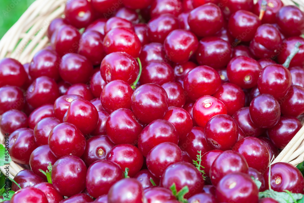 Fresh ripe cherries in a wicker basket Fresh ripe cherries in a wicker basket
