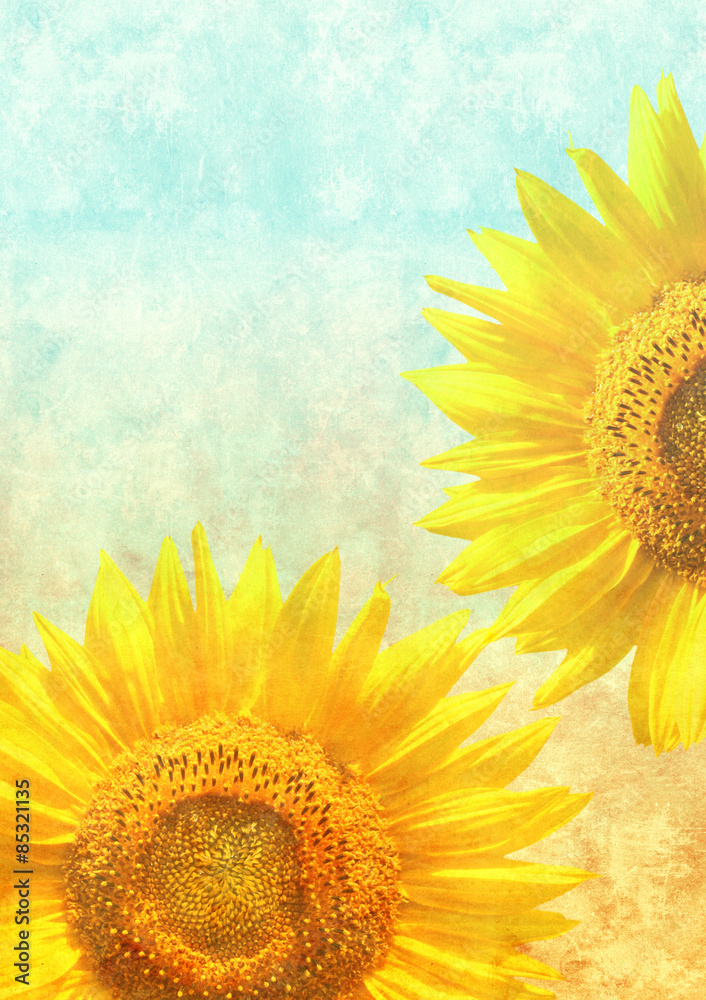 Naklejka premium Texture of the old paper with sunflowers