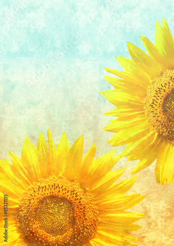 Fototapeta Naklejka Na Ścianę i Meble -  Texture of the old paper with sunflowers