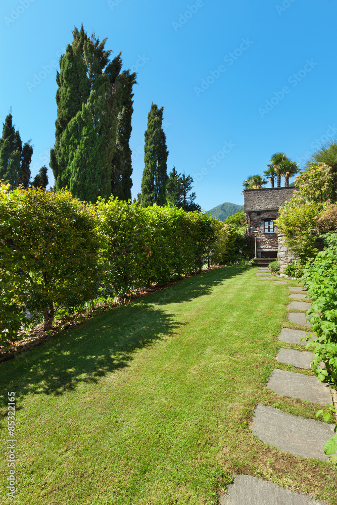green garden with hedges