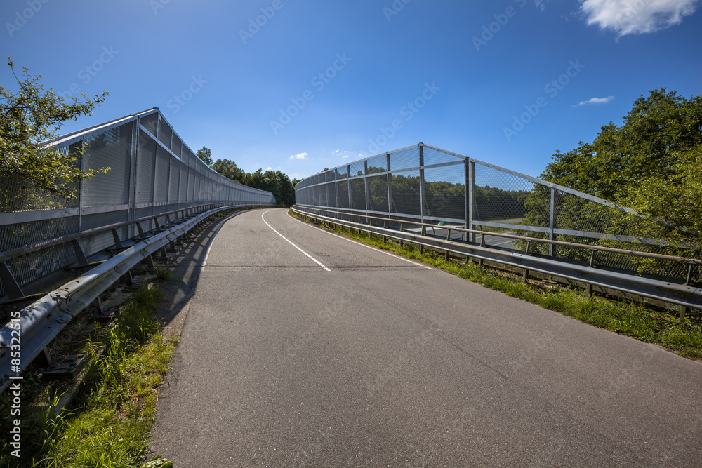 Bridge with fence