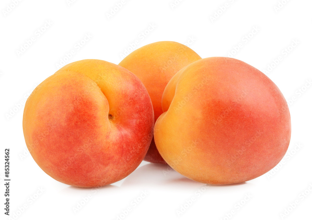 apricots isolated