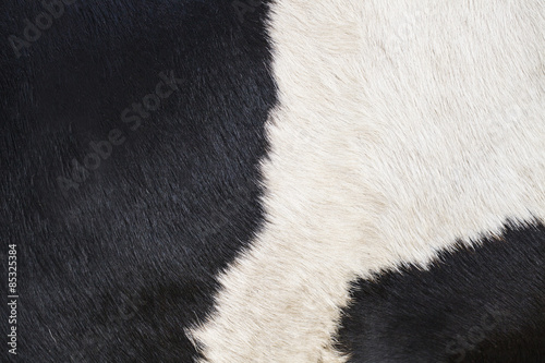cow fur texture