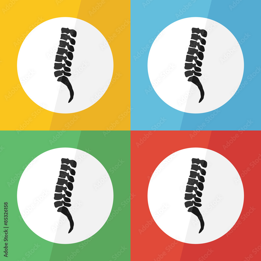 Spine icon ( flat design ) on different color background ( lateral view ...
