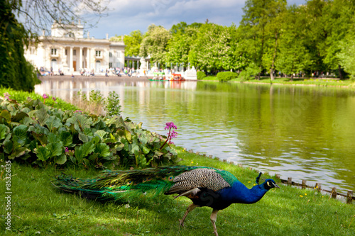 Lazienki or Royal Baths park in Warsaw in Poland