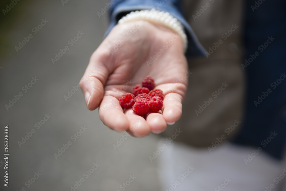 Woman's hand holding red blackberries Woman's hand holding red blackberries