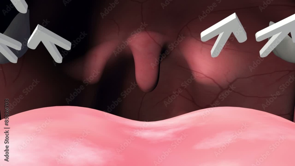 Snoring Animation Reference 3D medical animation showing the anatomy of the human nose and ...