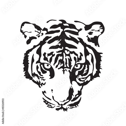 Fototapeta Naklejka Na Ścianę i Meble -  tiger face on white background
