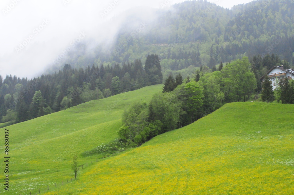 Typical Alps view, Austria