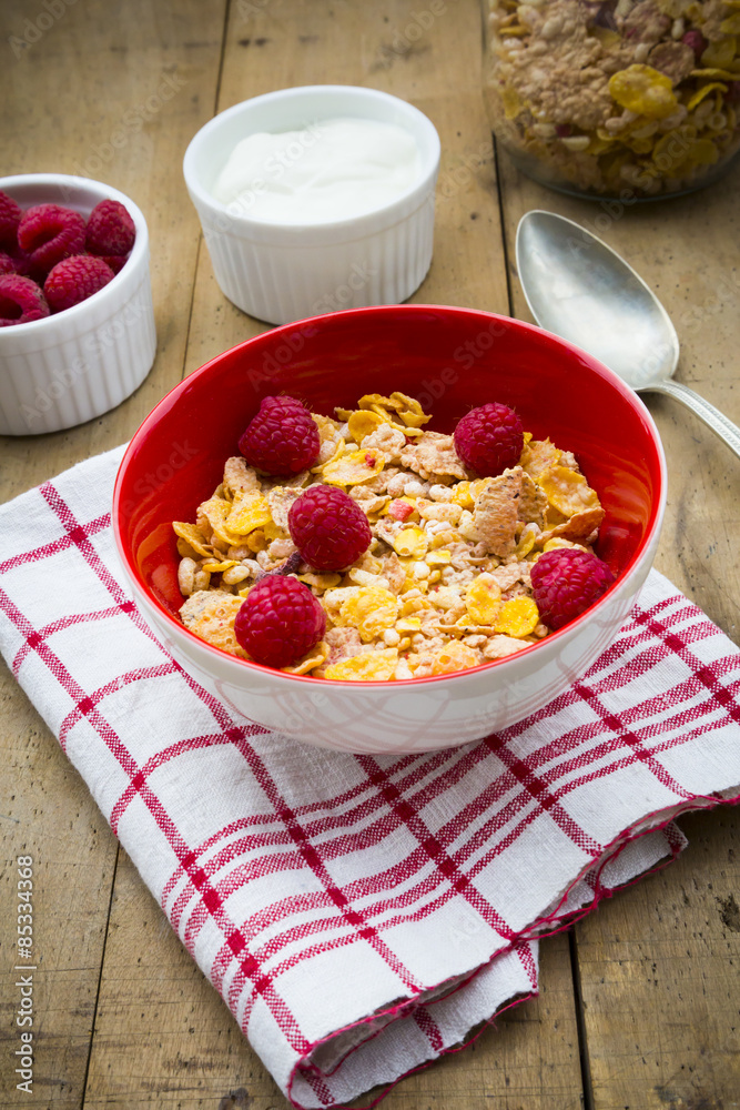 Bowl of gluten free cereals with fresh raspberries and natural yoghurt Bowl of gluten free cereals with fresh raspberries and natural yoghurt