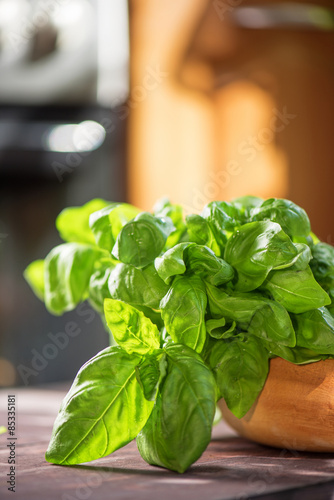 Fresh organic basil